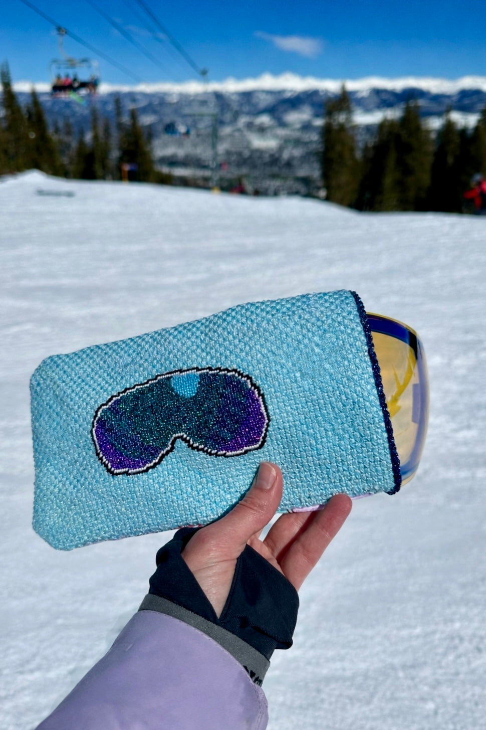 Ski Goggle Case