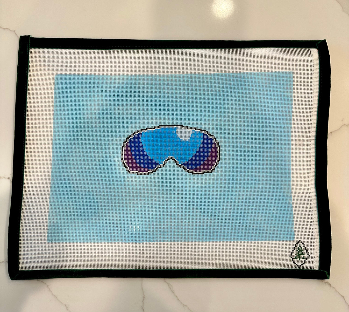 Ski Goggle Case