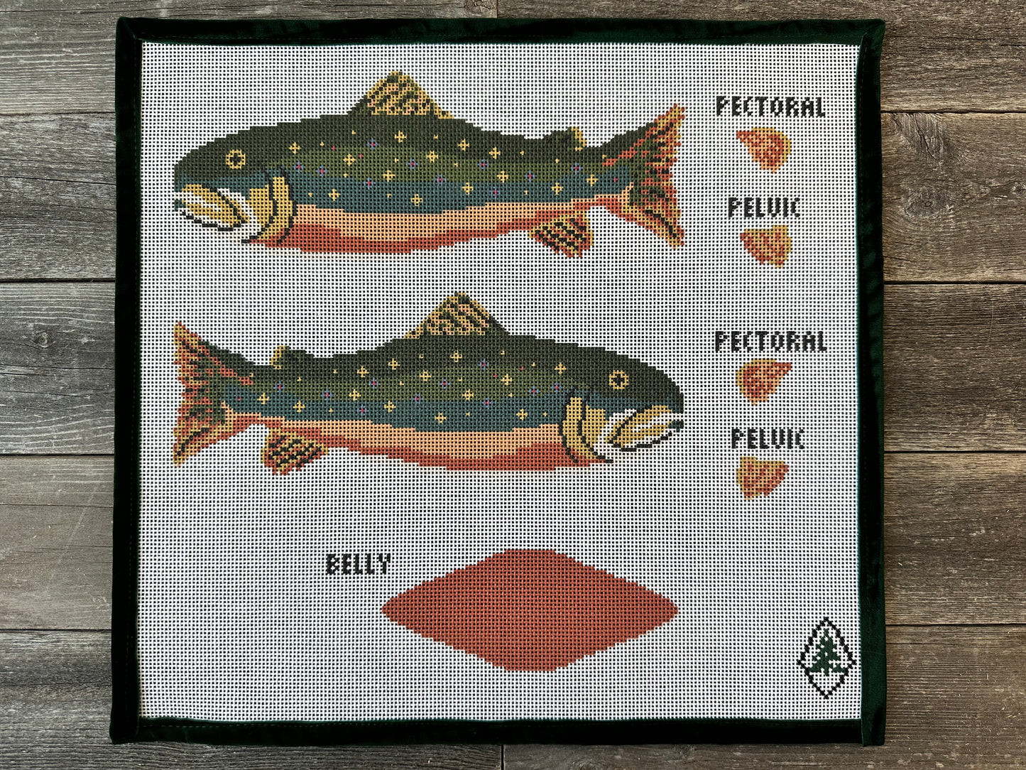 3D Brook Trout