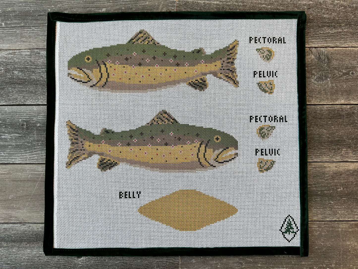 3D Brown Trout