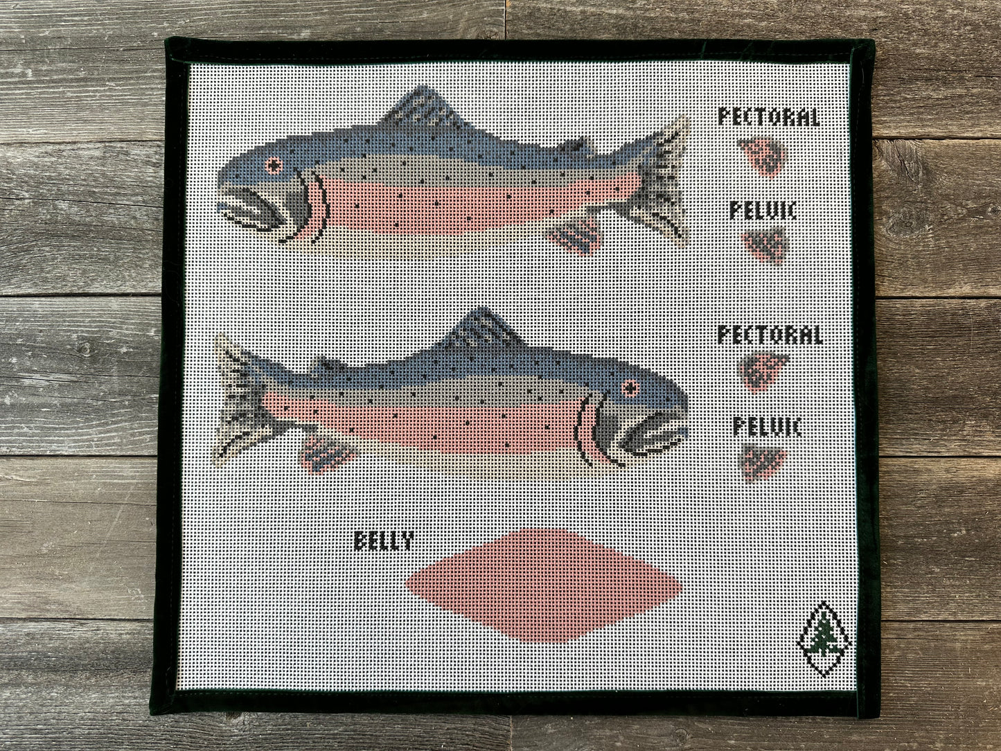 3D Salmon