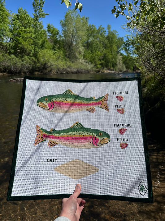 3D Rainbow Trout