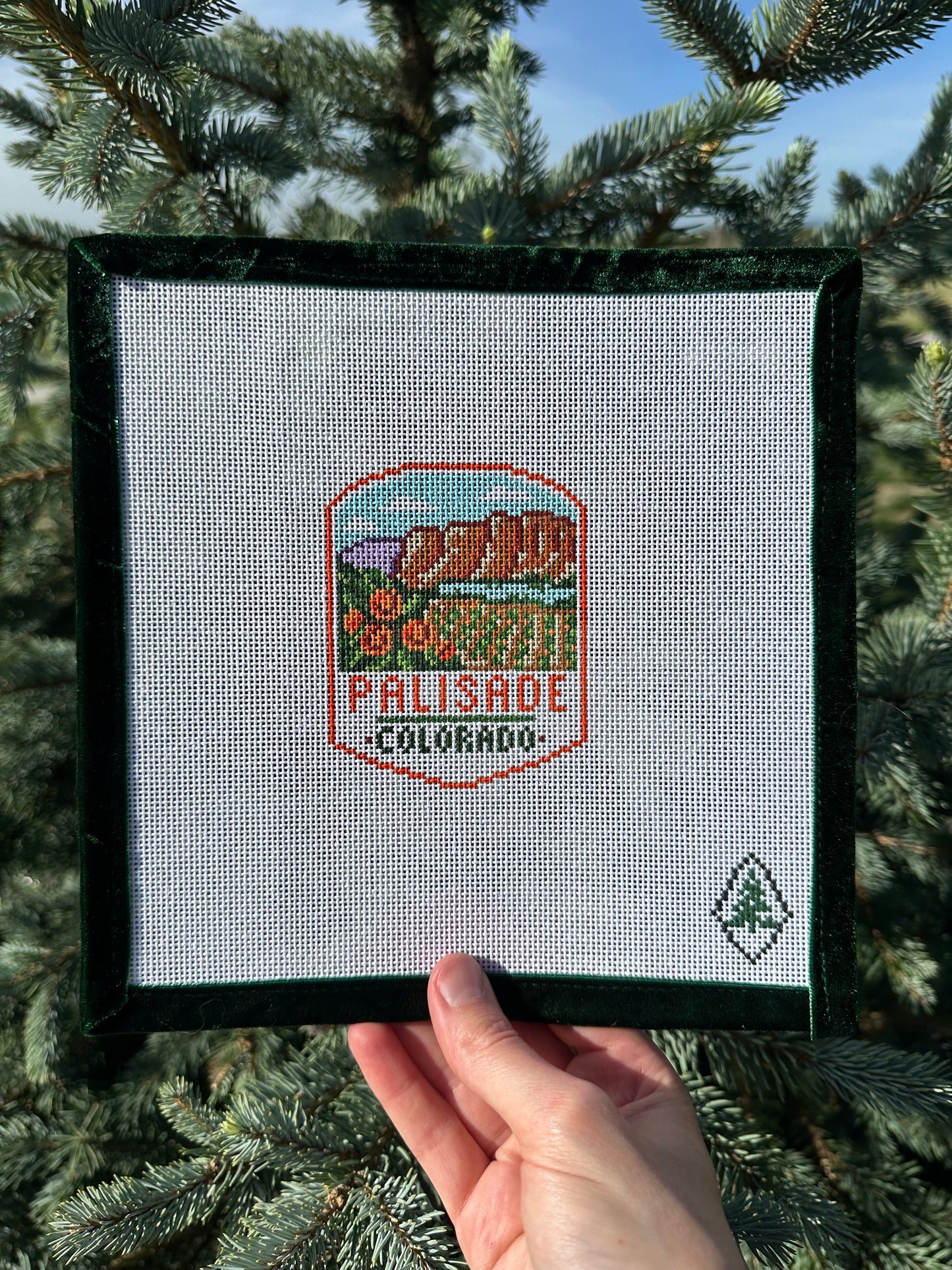 Palisade Travel Patch