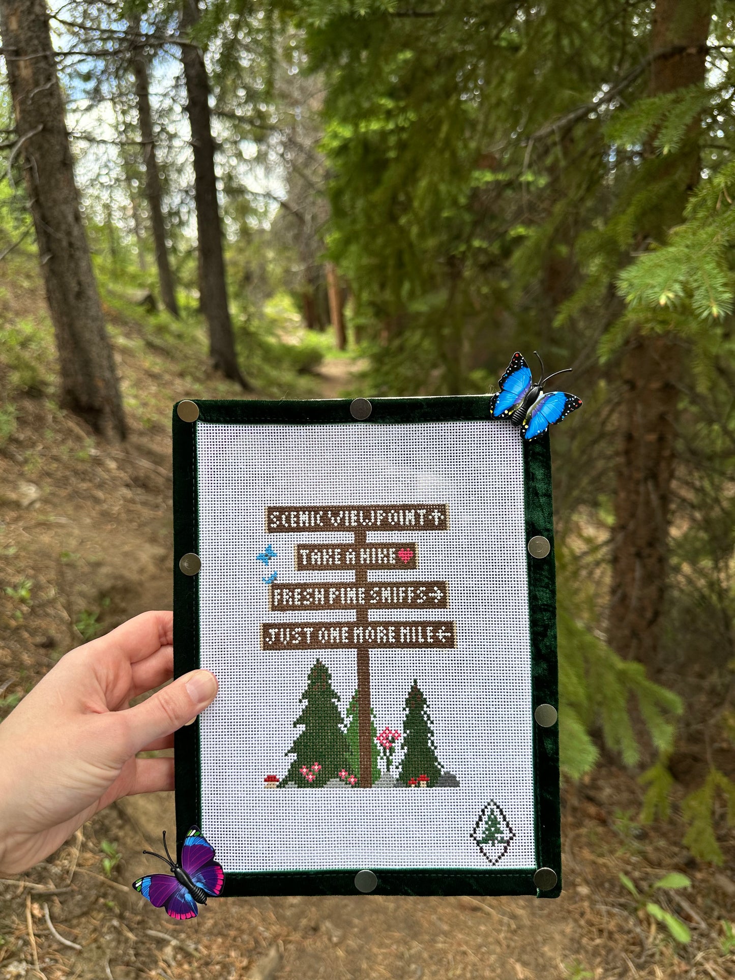 Woods Hiking Sign